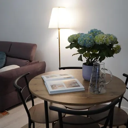 Invictus Apartment Bucharest